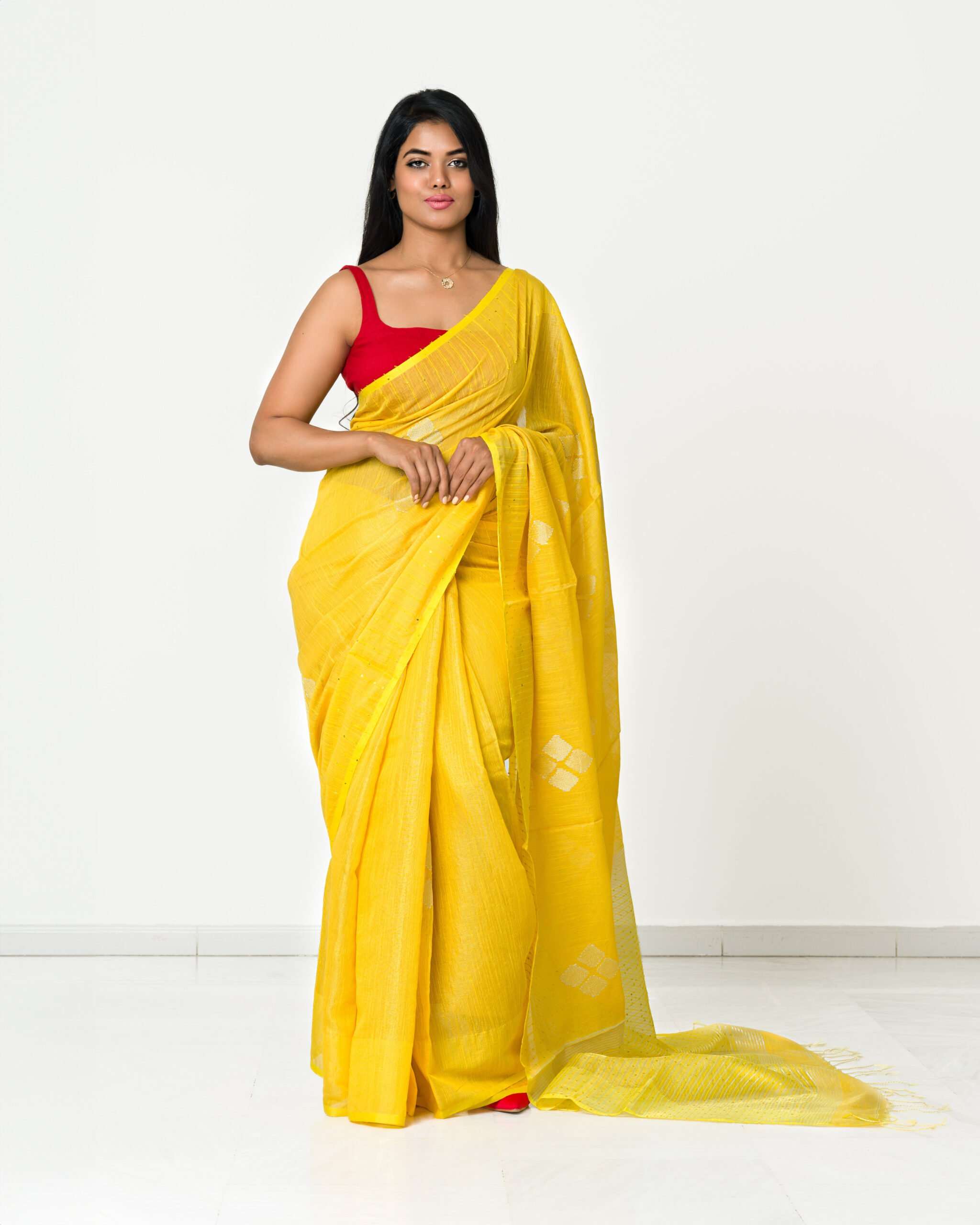 The Tissue Saree with Sequin Work - Image 5