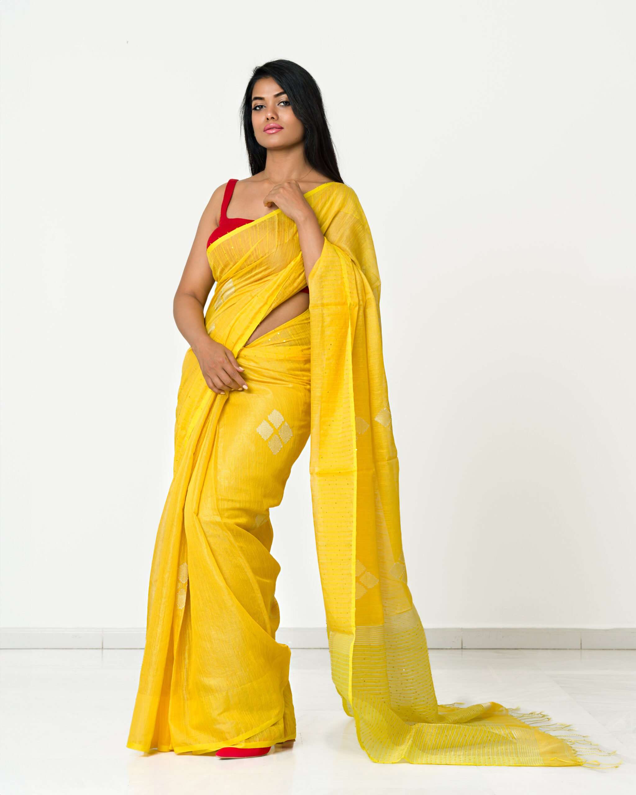 The Tissue Saree with Sequin Work - Image 4