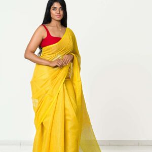 The Tissue Saree with Sequin Work