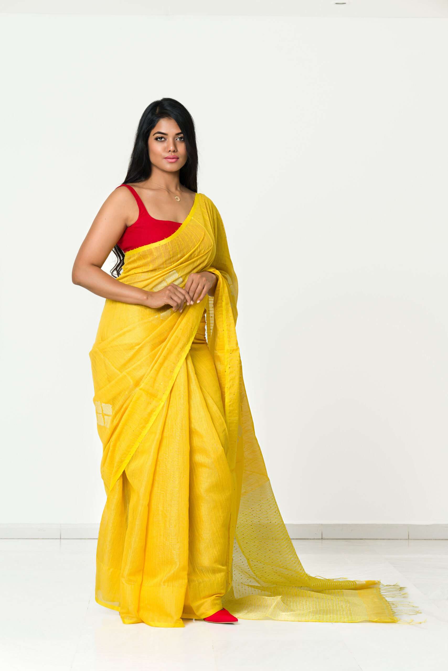 The Tissue Saree with Sequin Work