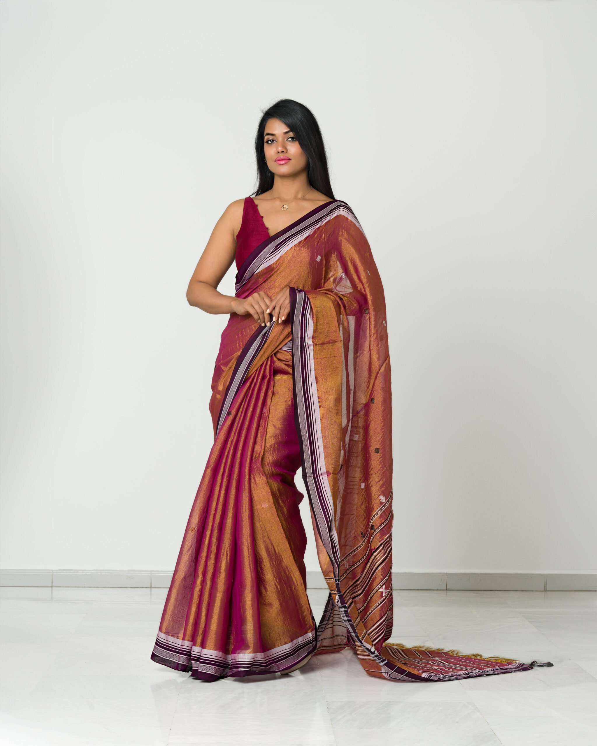 Raga Tissue Saree with Threadwork Border and Booti - Image 5