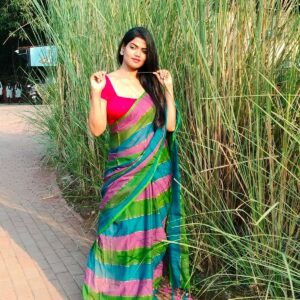 The Mal Cotton Multi-Color Striped Saree