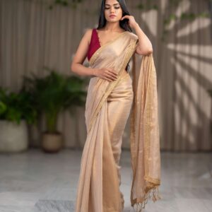 Golden Elegance: Raga Tissue Saree with Golden Lace
