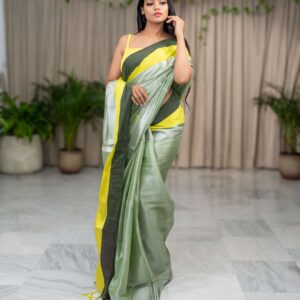 Pista Perfection: Raga Tissue Saree with a Vibrant Border